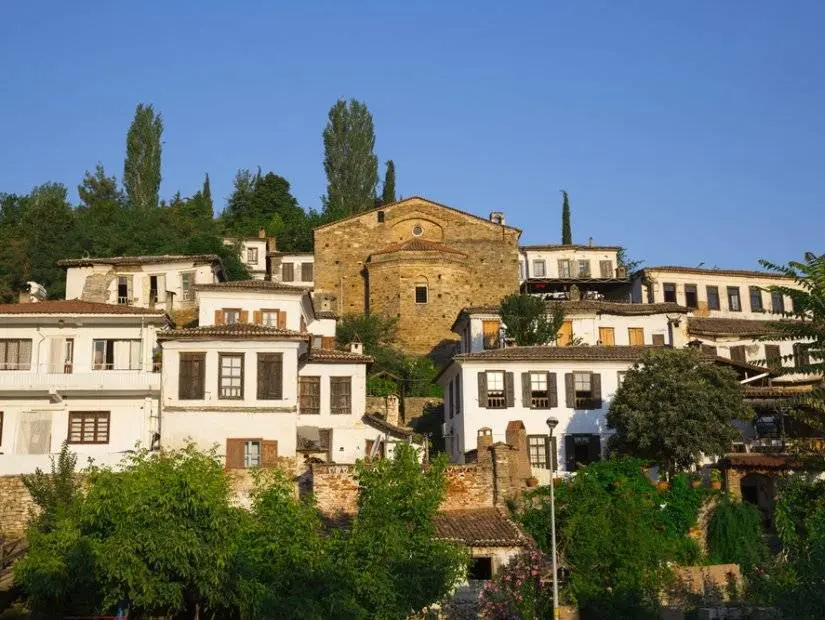 Fidan Dikme Etkinliğinde Rekor Katılım