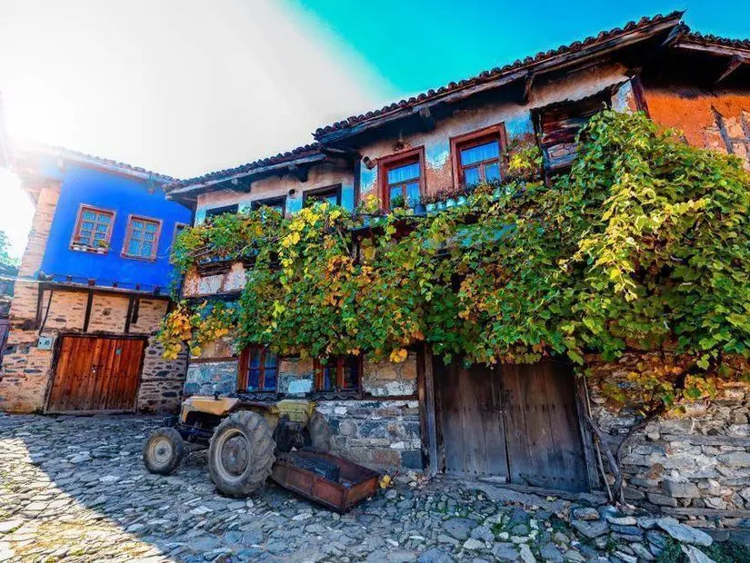 Öğrenci Bursu Başvuruları Başladı